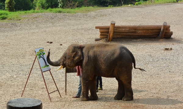 Elefant beim Malen