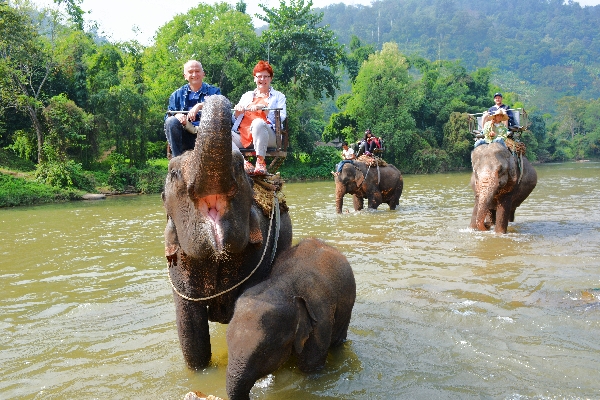 Elefantenreiten